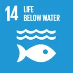 sdg-en-14